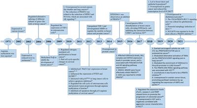 The Emerging Role of PRMT6 in Cancer